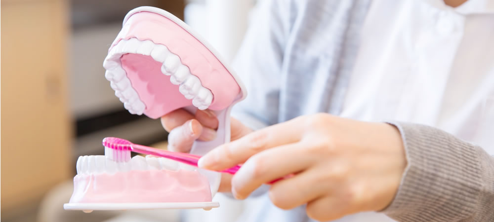 歯磨きと歯科医院でのクリーニングのWケア
